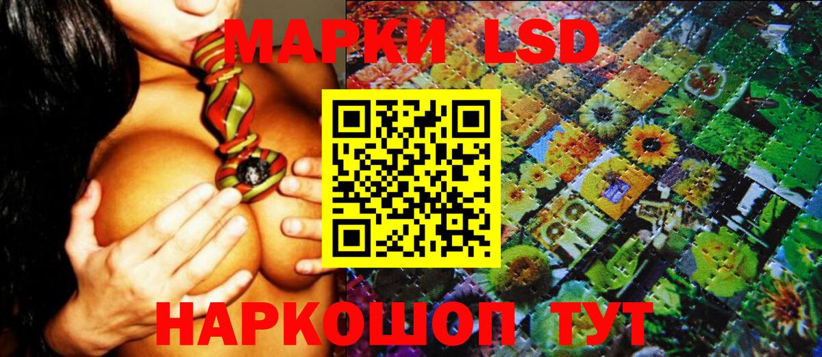 Наркотические марки 1,5мг  Марки NBOMe  Выборг  Вход с VPN 