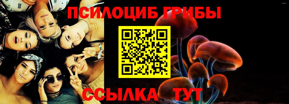 Псилоцибиновые грибы мухоморы Выборг